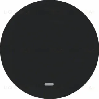 Клавиша с прозрачной линзой, R.1/R.3, цвет: черной 16212045 16212045