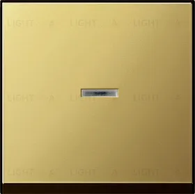 Gira S-55 Латунь Клавиша 1-ая с подсветкой 0290604 0290604
