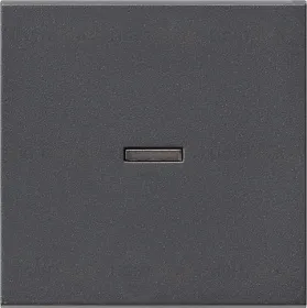 Gira S-55 Антрацит Клавиша 1-ая с подсветкой 029028 029028