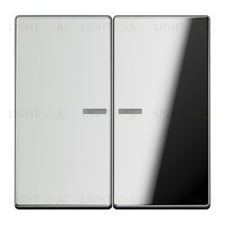 Jung LS 990 Блестящий хром клавиша 2-я с подсветкой GCR2995KO5 GCR2995KO5
