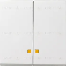 Gira S-55 Бел Клавиша 2-ая с подсветкой 063127 063127