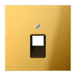 Jung LS 990 Блеск золота накладка 1-ой наклонной ТЛФ/комп розетки GO2969-1UA GO2969-1UA