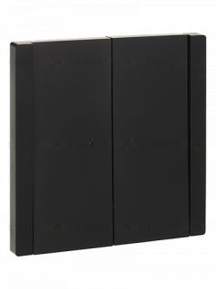 Выключатель 2-клавишный с индикацией 10А IEK Forte&Piano черный FP-V20-1-10-1-K02 FP-V20-1-10-1-K02