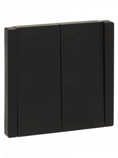 Выключатель 2-клавишный проходной с индикацией 10А IEK Forte&Piano черный FP-V22-1-10-1-K02 FP-V22-1-10-1-K02