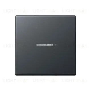 Jung A 500 клавиша одинарная с подсветкой антрацит матовый A590BFKO5ANM A590BFKO5ANM