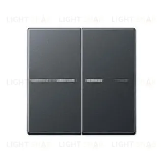 Jung клавиши для сдвоенных выключателей; A595BFKO5ANM A595BFKO5ANM