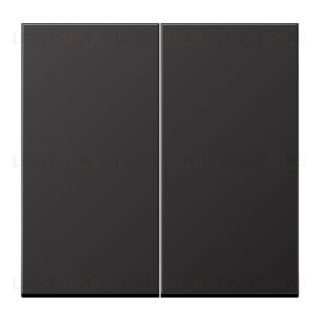 JUNG LS 990 темный алюминий клавиша 2-ая AL2995D AL2995D