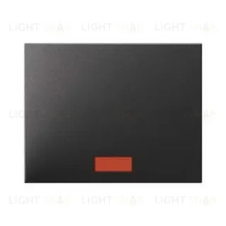 Клавиша в комплекте с 5 линзами, K.1, цвет: антрацит, матовый 14157006 14157006