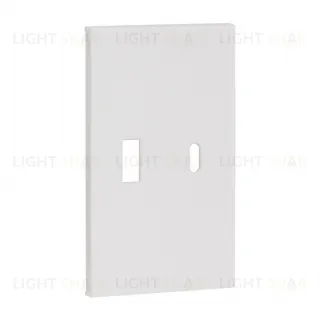 Meiton USB+type с накладкой 2-ух модульная цвет-белый матовый AW12C AW12C