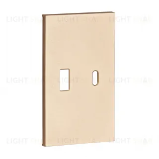 Meiton USB+type с накладкой 2-ух модульная цвет-шампань матовый ACH12C ACH12C