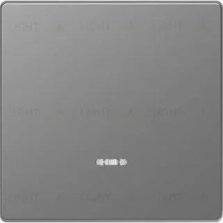 Клавиша одинарная с окошком Merten D-life нержавеющая сталь MTN3320-6036 MTN3320-6036