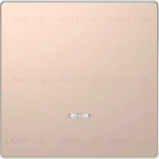 Клавиша одинарная с окошком Merten D-life шампань металл MTN3320-6051 MTN3320-6051