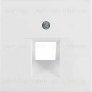 Центральная панель для розетки UAE, S.1/B.x, цвет: полярная белизна, матовый 14071909 14071909