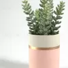 Flower Искусственное растение Sedum lucidum в розовом керамическом горшке 089921 - 4