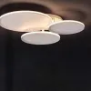 Потолочный светильник HORELL PT11333 - 2