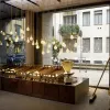 Дизайнерская люстра TIANN L1398 - 9