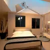 Напольный светильник Tolomeo XXL by Artemide 1532010A - 4