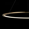 Светильник подвесной Ring Ring 10014L - 6