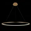 Светильник подвесной Ring Ring 10014L - 4