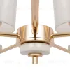 Люстра TALANA FR5015PL-05G - 4