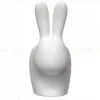 Напольный светильник  RABBIT by Qeeboo ON168 - 4