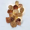 Настенный светильник (Бра) RATHLEAF W2179 - 3