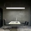 Подвесной светильник Daila LED-419 - 2