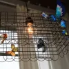 Подвесной светильник Fly cage Л 0131 - 2