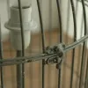 Настольная лампа Birds double Н 0299 - 4