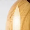 Подвесной светильник Large Oak PD1378 - 8