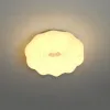 Потолочный светильник ZORTES SOFT ZRS.1118.2, Мощность - 18Вт, Тип лампы: LED, В -110мм / Ш - 290мм / Ш - ø290мм ZRS.1118.2 - 5