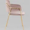Стул Полин велюр розовый УТ000035751 - 3