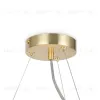 Подвесная люстра Maytoni MOD545PL-25BS MOD545PL-25BS - 2