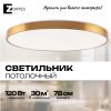 Светильник потолочный латунь LED 120Вт D78см Zortes TORTTY ZRS.02566.120 ZRS.02566.120 - 8