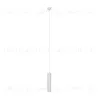 Подвесной светильник Maytoni P075PL-01W P075PL-01W - 1
