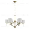13031/6P Brass V000525 - 2