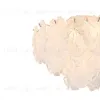 12059/7C Chrome V000584 - 4