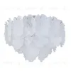 12059/7C Chrome V000584 - 2
