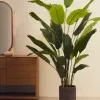 Искусственное банановое растение в черном горшке 210 см 193954 - 2