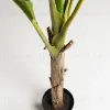 Flower Искусственное банановое дерево 160см 081750 - 5
