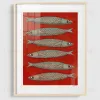 Постер Sardines DZ25072230 - 2