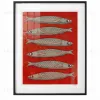 Постер Sardines DZ25072231 - 3