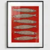 Постер Sardines DZ25072231 - 2