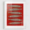 Постер Sardines DZ25072232 - 2