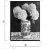 Жикле Hydrangea DZ25072241 - 4