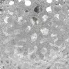 12060/21P Chrome V000622 - 4