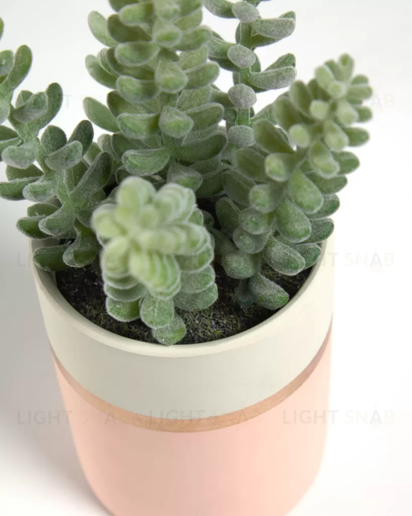 Flower Искусственное растение Sedum lucidum в розовом керамическом горшке 089921