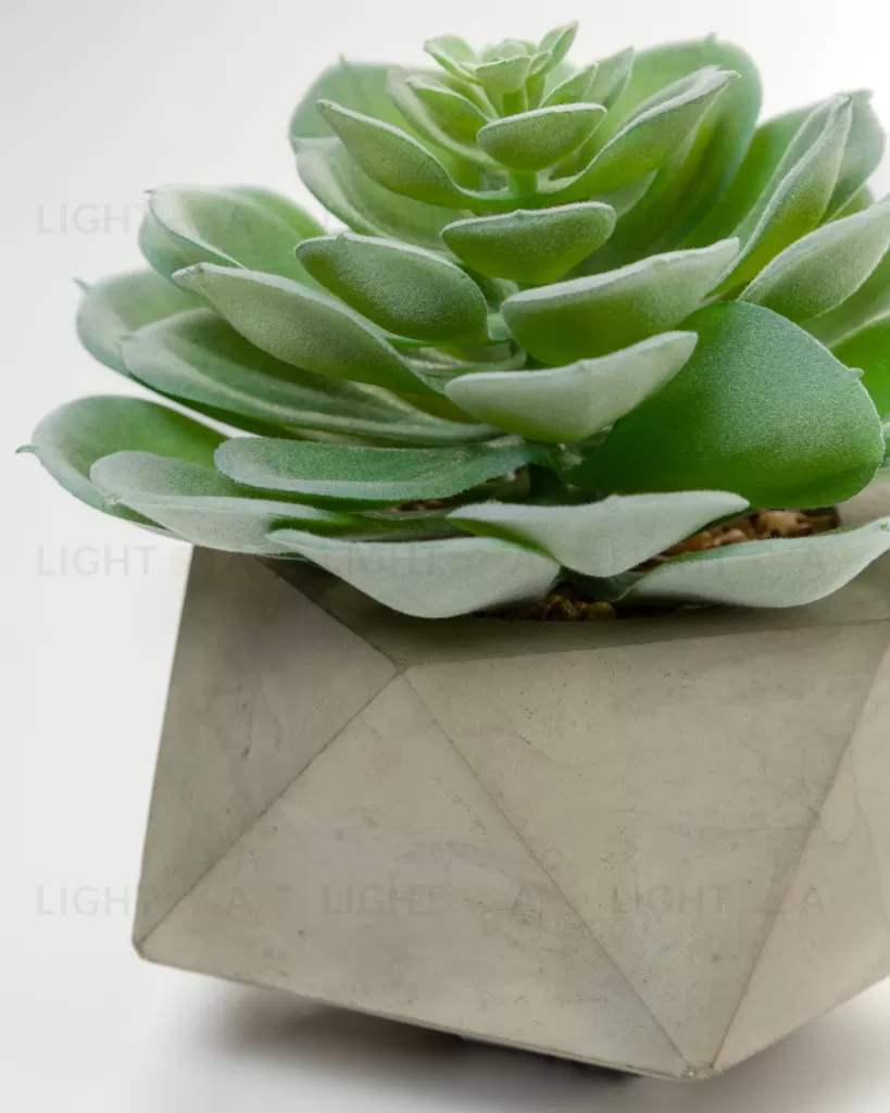 Flower Искусственное растение Echeveria glauca в цементном горшке 072457