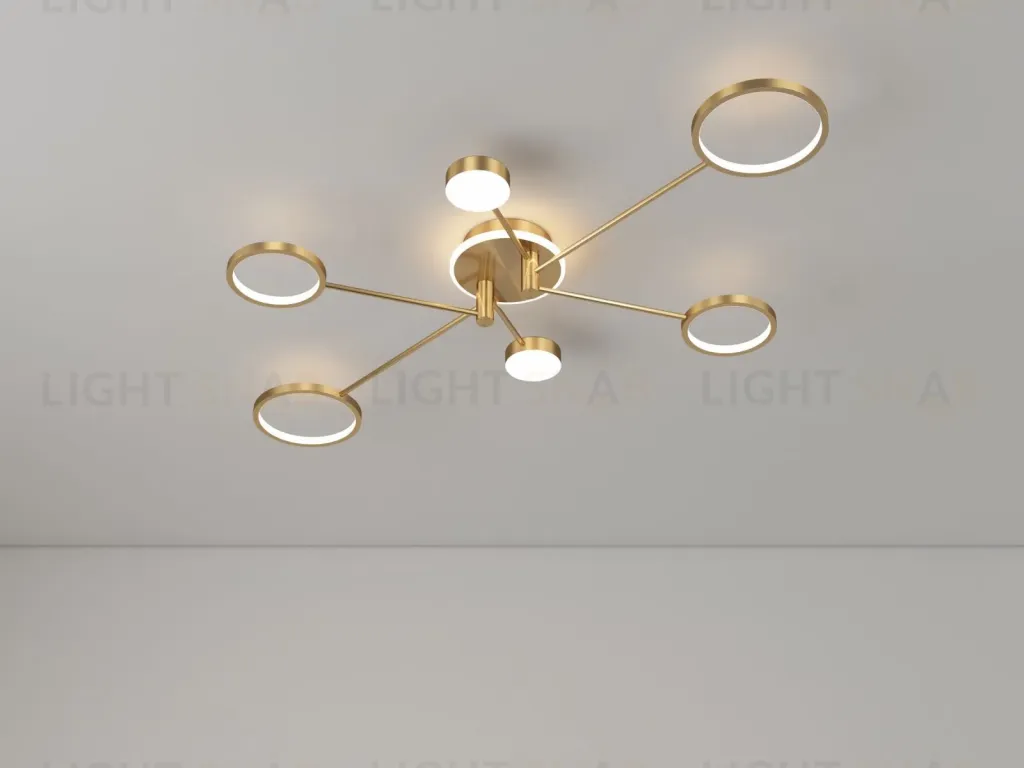 Потолочный светильник TONA PT81020-6P