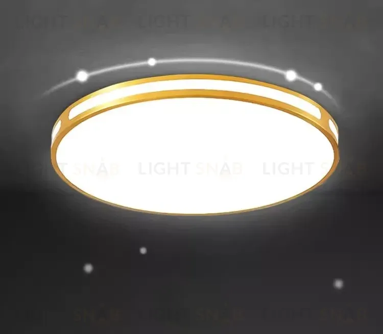 Потолочный светильник VASER TH6104